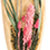 Dried Sola Lily Bunch